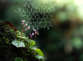 Biochemistry