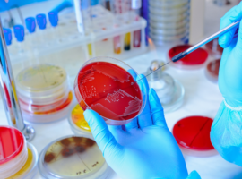 Microbiology