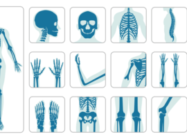 Orthopaedics